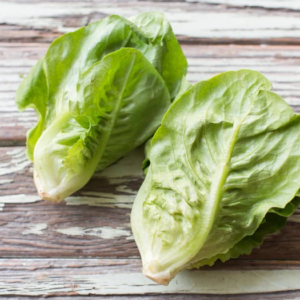 Gem Lettuce (Pkt)