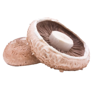 Portobello Mushroom (Each)