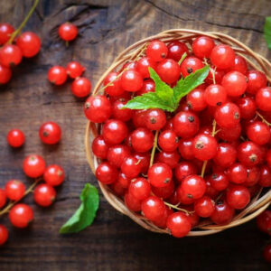 Red Currants (Punnet)