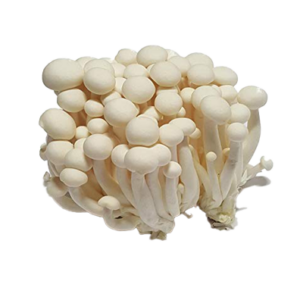 Shimeji Mushroom White (packet)