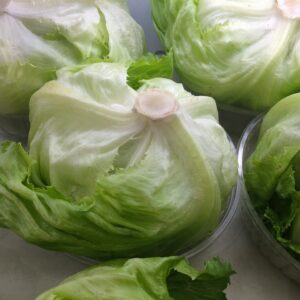 Iceberg Lettuce (Each)