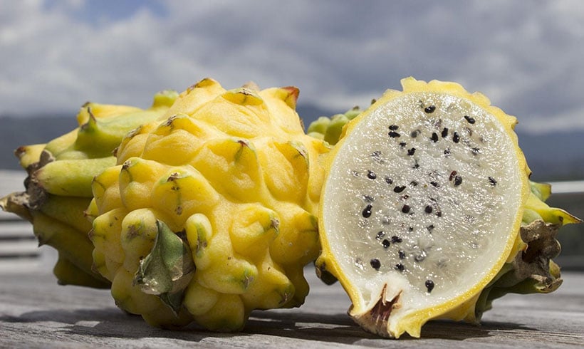 Pitaya