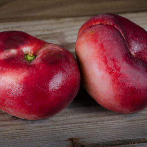 Flat Nectarine (Each)